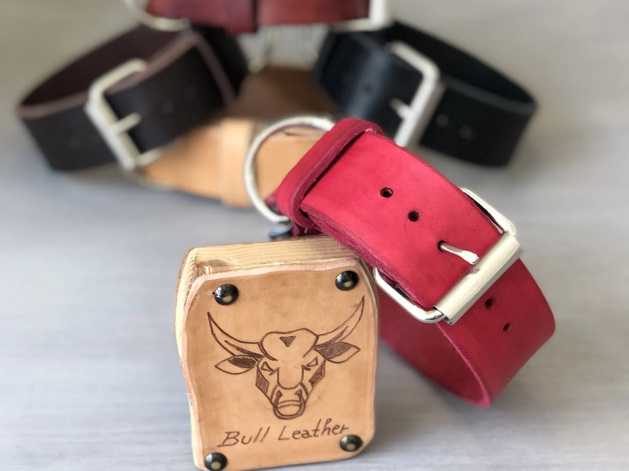 Bull Leather Dog Collar Ideal for Medium and Large Dogs