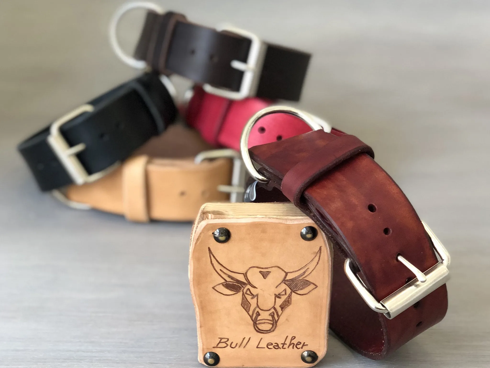 Bull Leather Dog Collar Ideal for Medium and Large Dogs