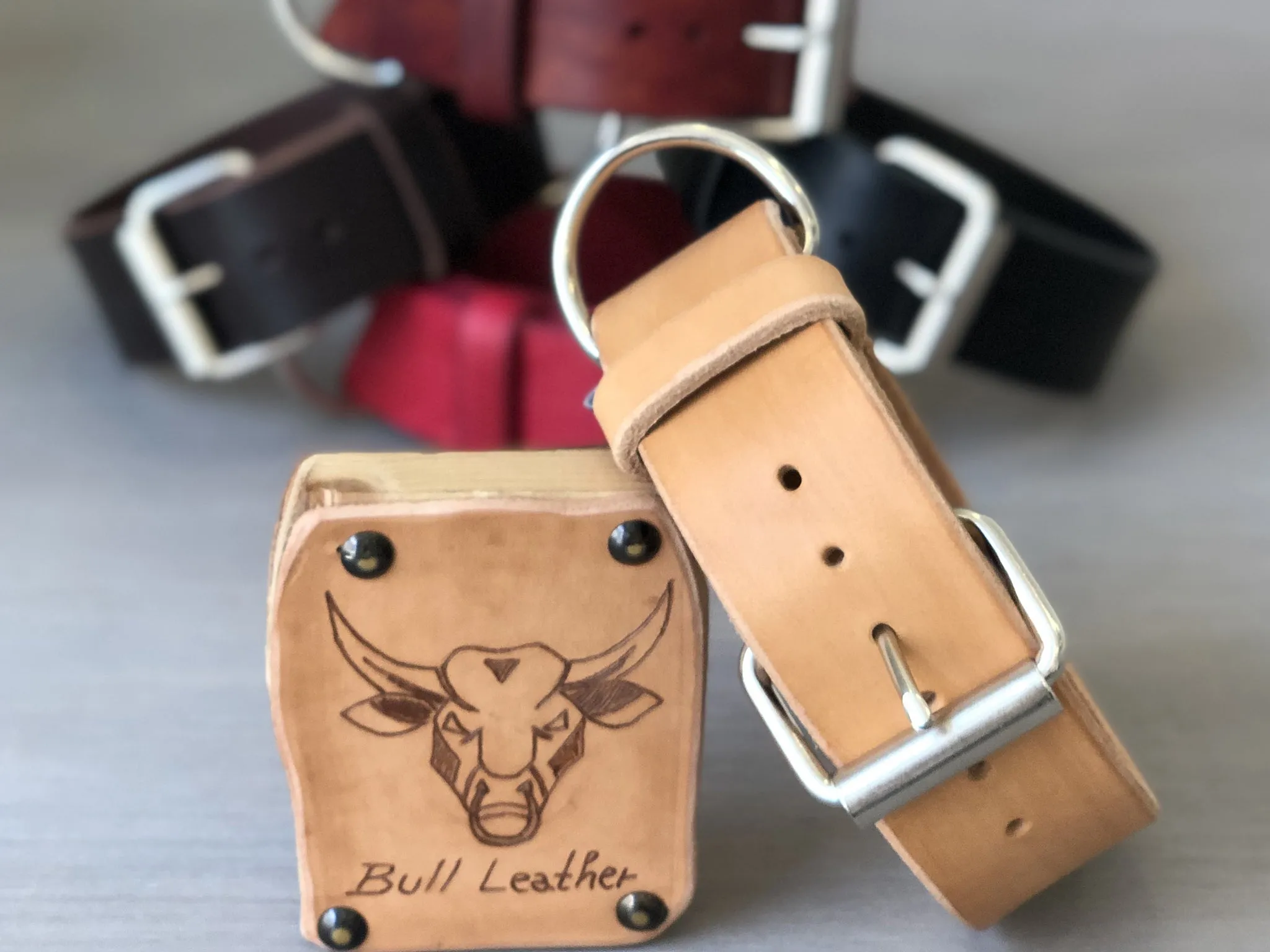 Bull Leather Dog Collar Ideal for Medium and Large Dogs