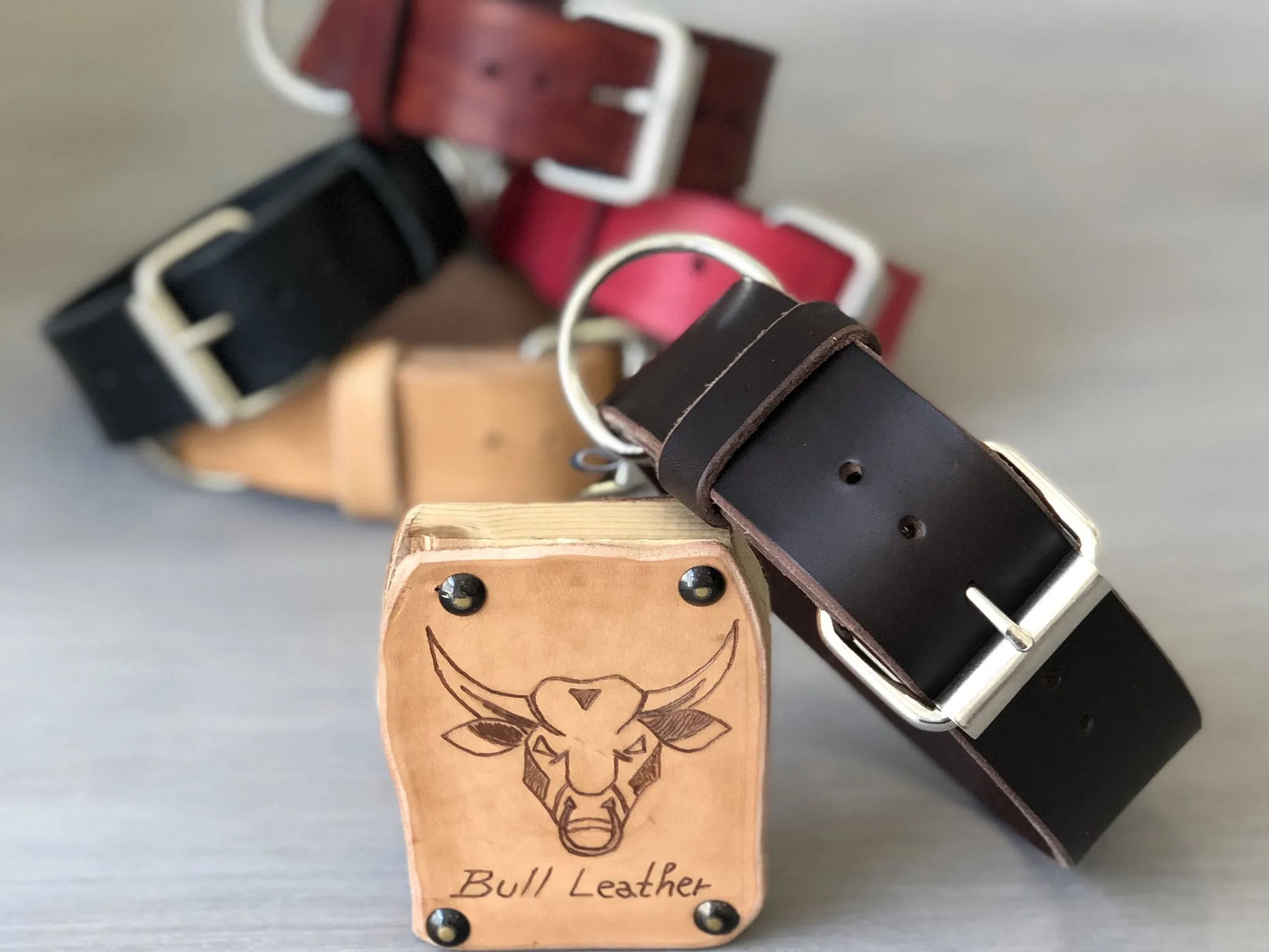 Bull Leather Dog Collar Ideal for Medium and Large Dogs