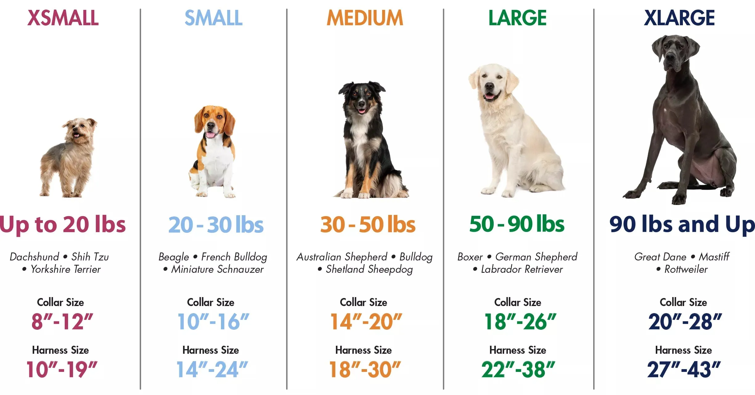 Coastal Pet Products Adjustable Check Training Collar With Buckle For Dogs