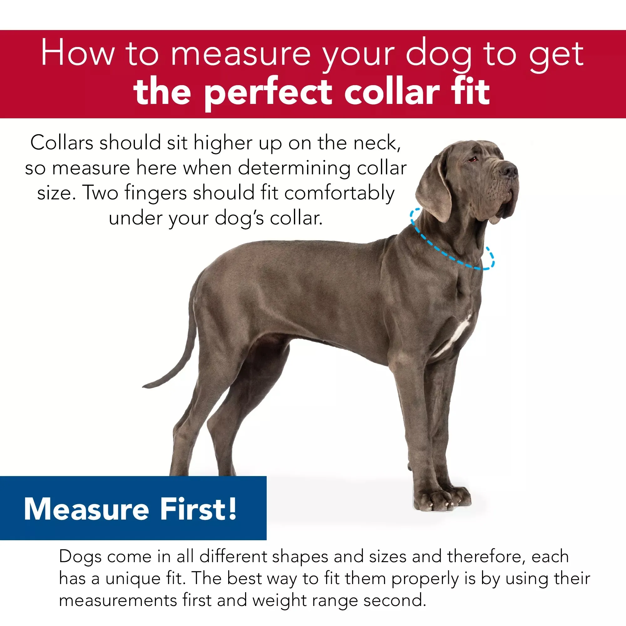 Coastal Pet Products Adjustable Check Training Collar With Buckle For Dogs