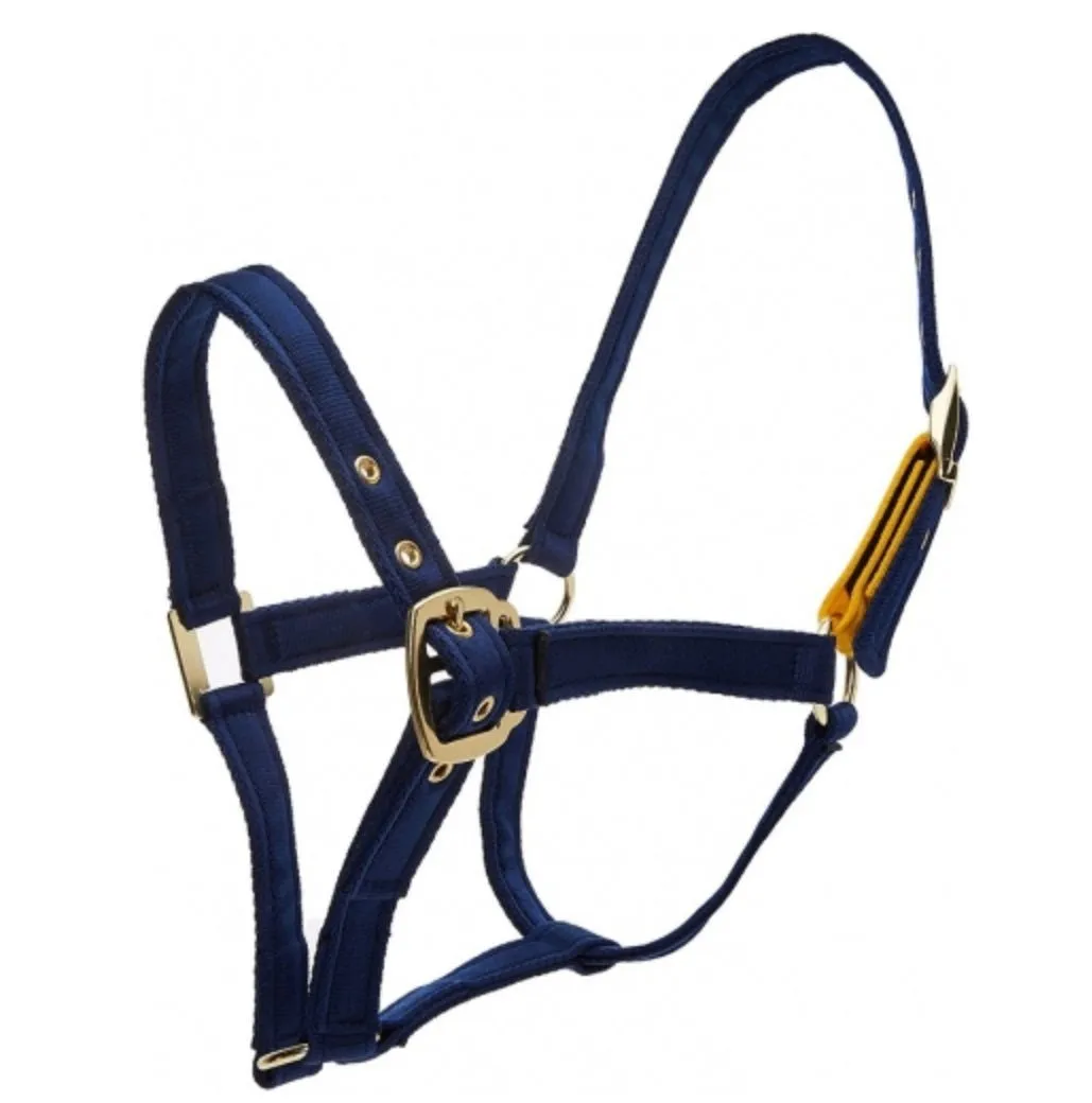 Eclipse Field Safe Head Collar Navy