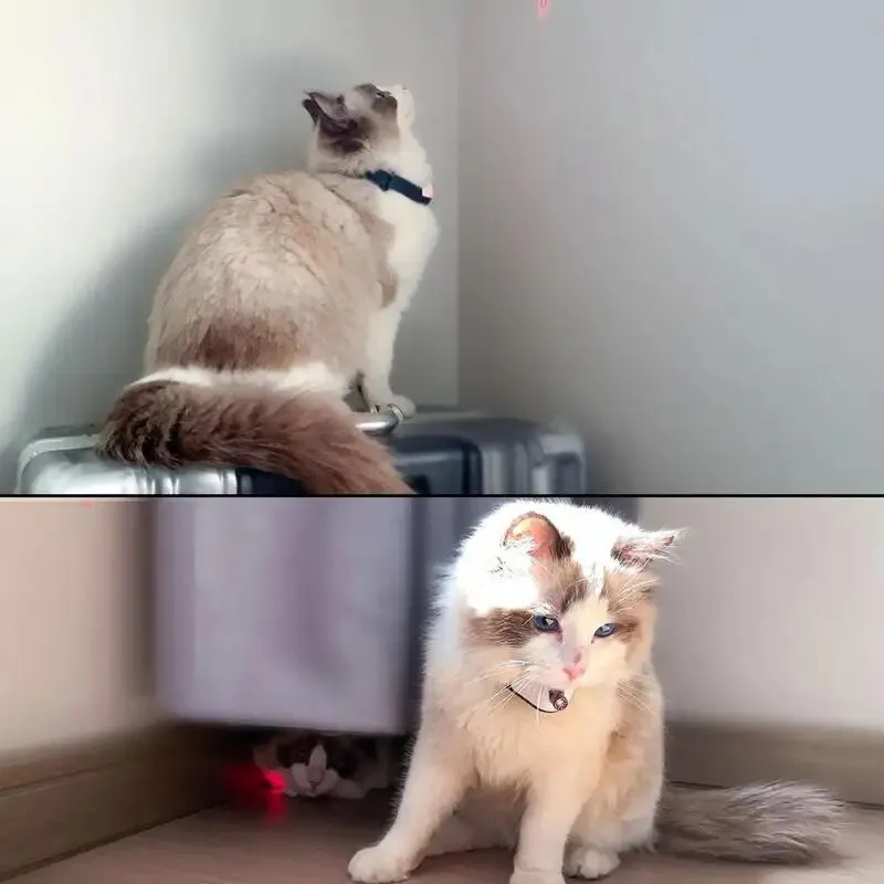 Electric Cat Collar - Smart Toy LED Lights Cat Toy Soft Electric Smart Collar Pet Exercise Toy For Small Mediums Pets Cats