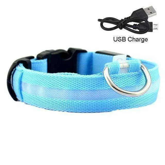 LED Dog Collar New USB Rechargeable 3 Modes