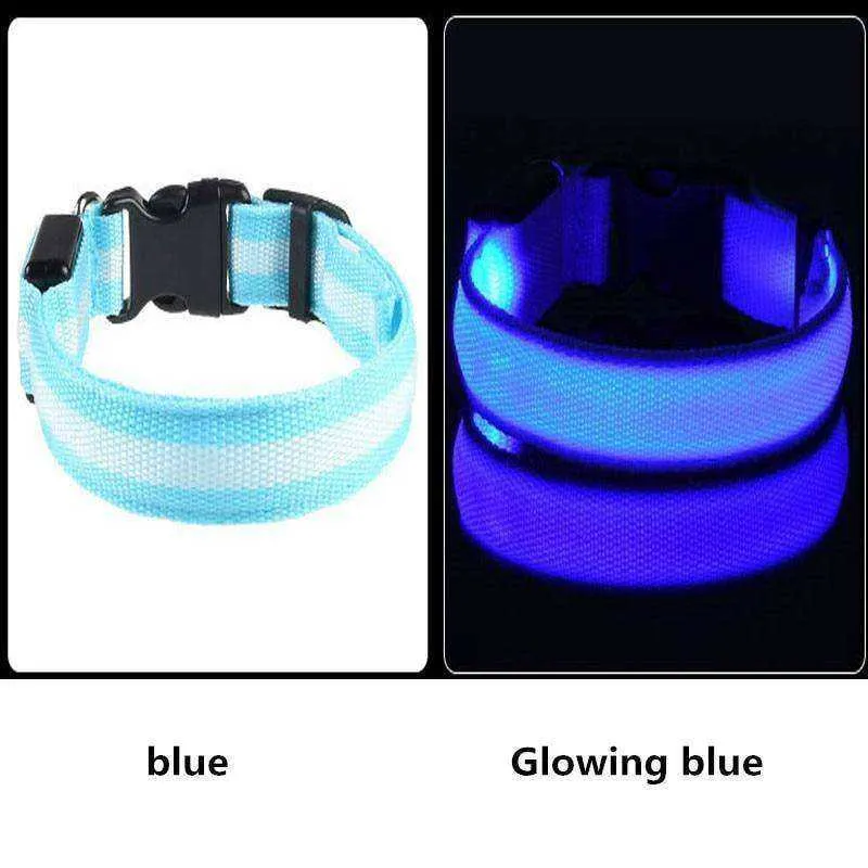 LED Dog Collar New USB Rechargeable 3 Modes
