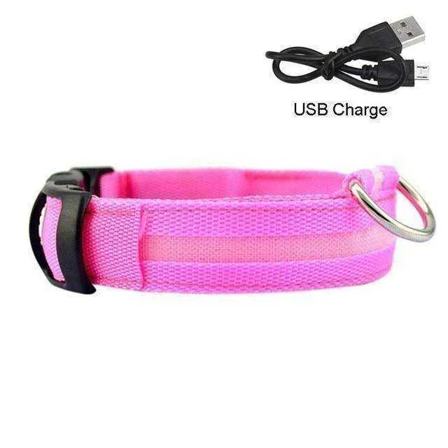 LED Dog Collar New USB Rechargeable 3 Modes