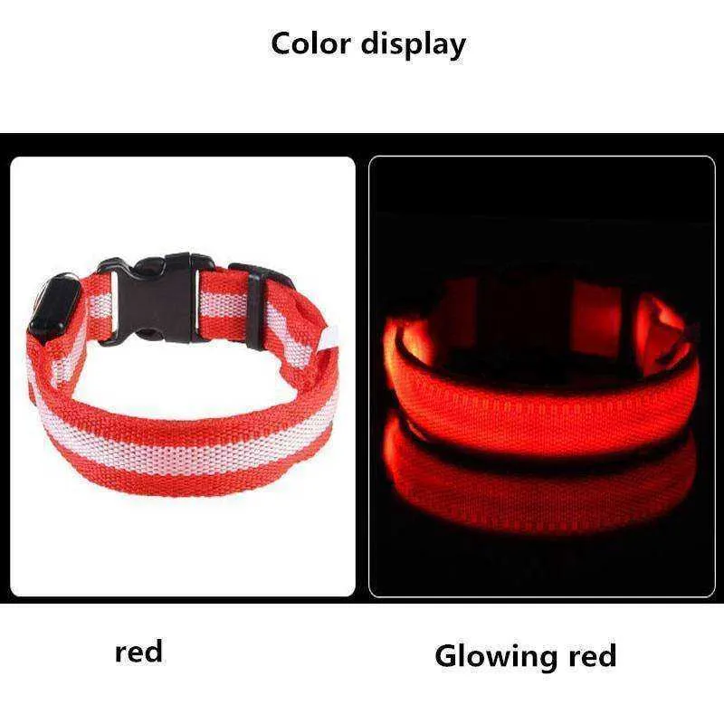 LED Dog Collar New USB Rechargeable 3 Modes