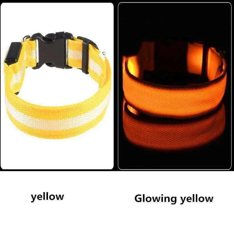 LED Dog Collar New USB Rechargeable 3 Modes