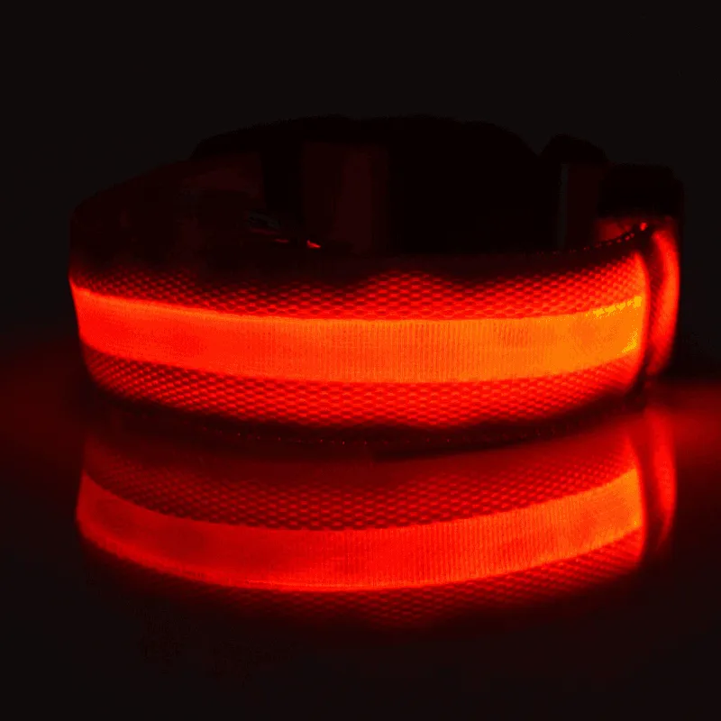 LED Dog Collar New USB Rechargeable 3 Modes