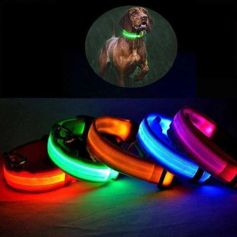 LED Dog Collar New USB Rechargeable 3 Modes