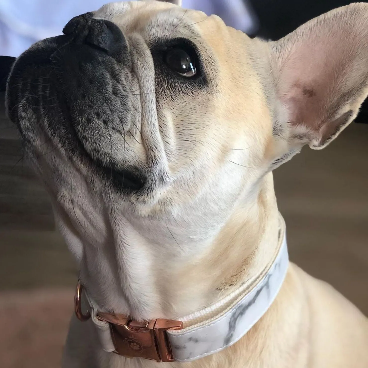 Marble Rose Gold Collar