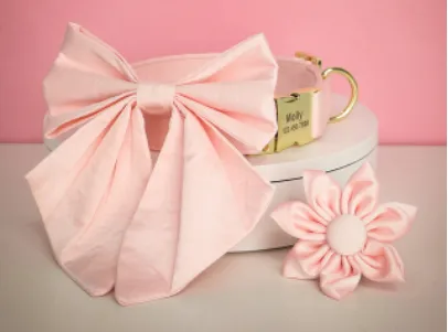 Peach Orange Butterfly Collar With Flower- Personalized
