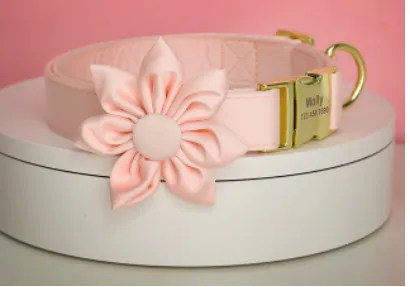 Peach Orange Butterfly Collar With Flower- Personalized