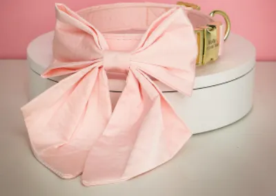 Peach Orange Butterfly Collar With Flower- Personalized