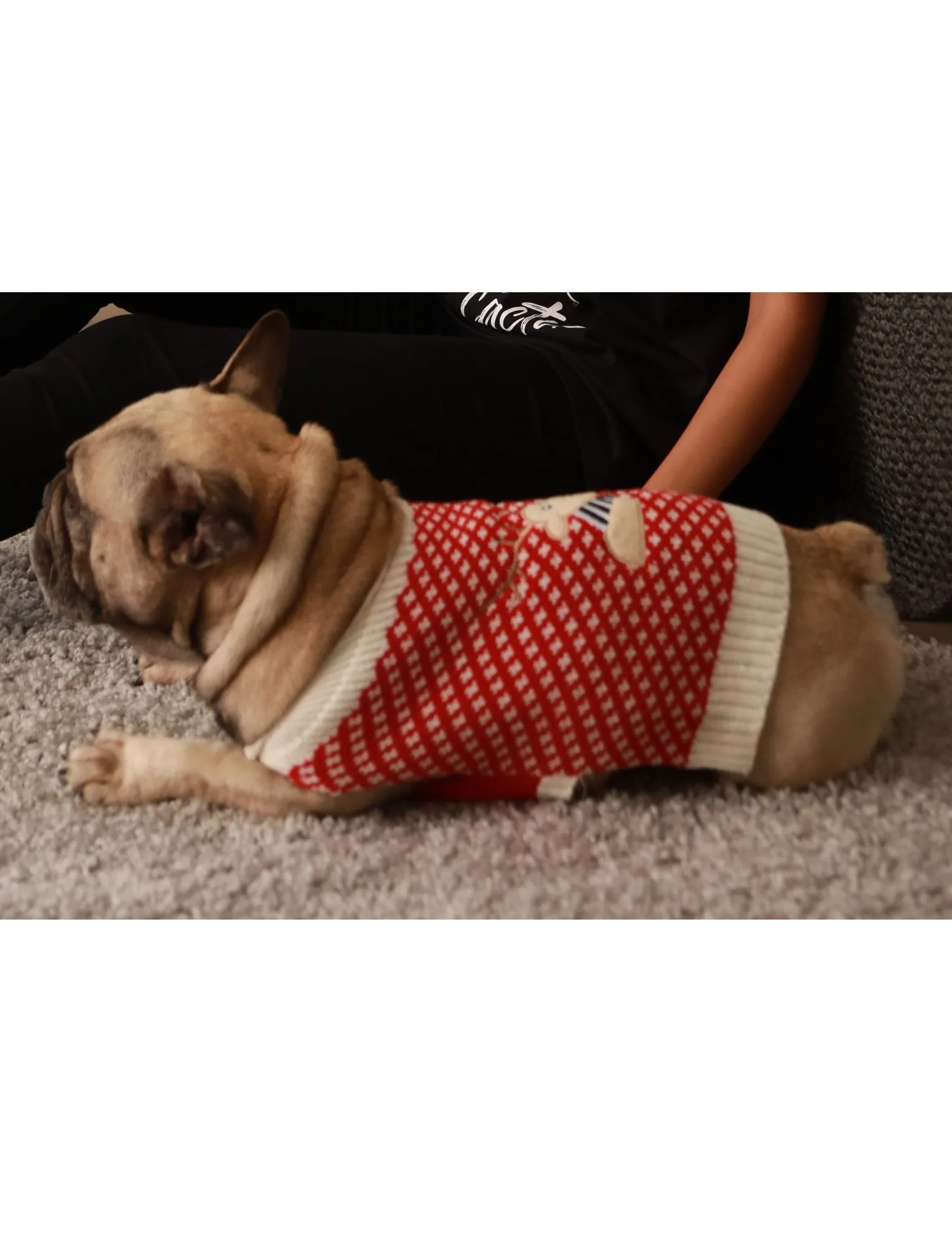 Reindeer Novelty Christmas Dog Jumper in Red - Merry Christmas