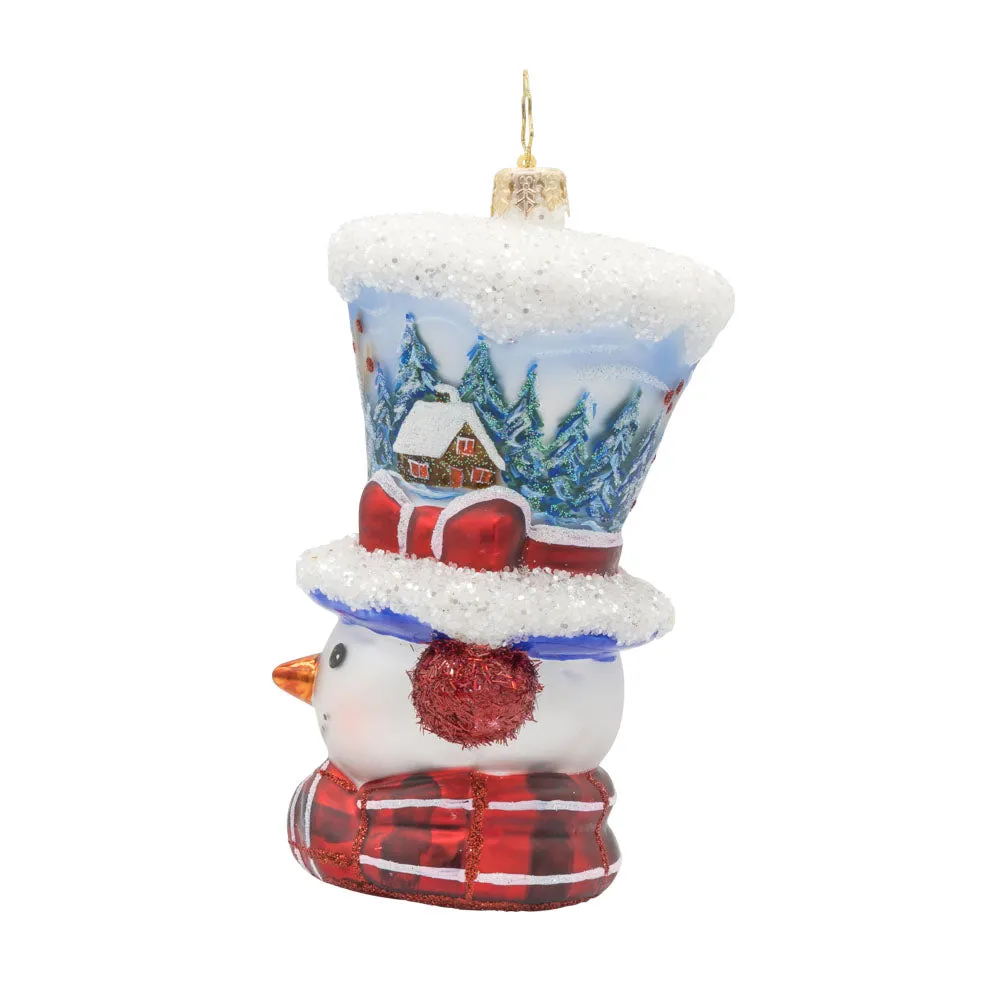 Snowy and the Cardinals
