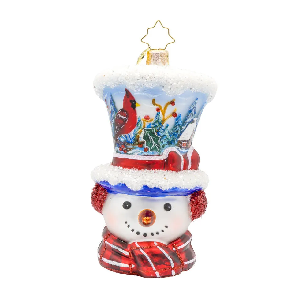 Snowy and the Cardinals