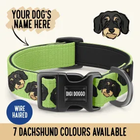 Wire Haired Dachshund Collar