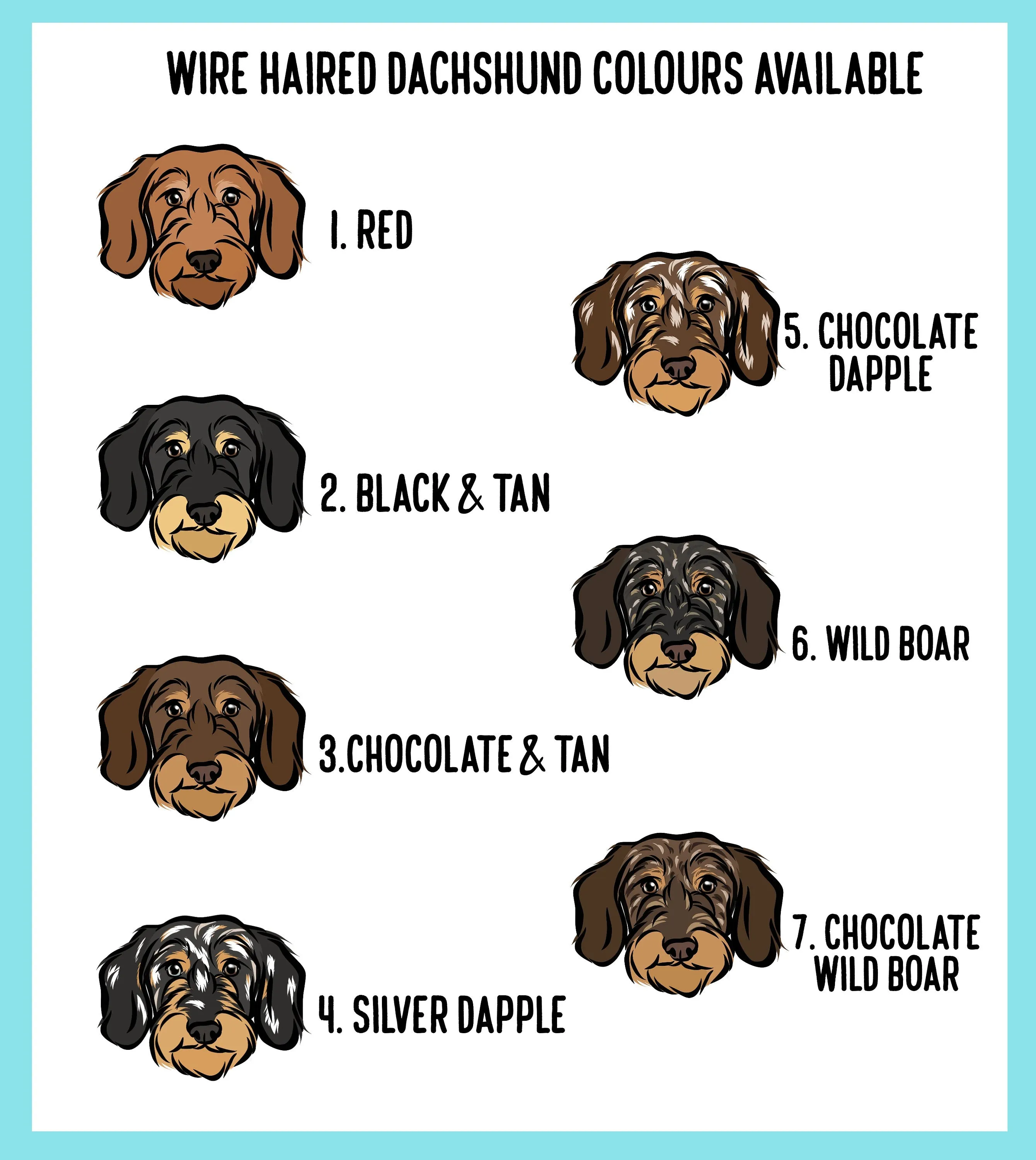 Wire Haired Dachshund Collar