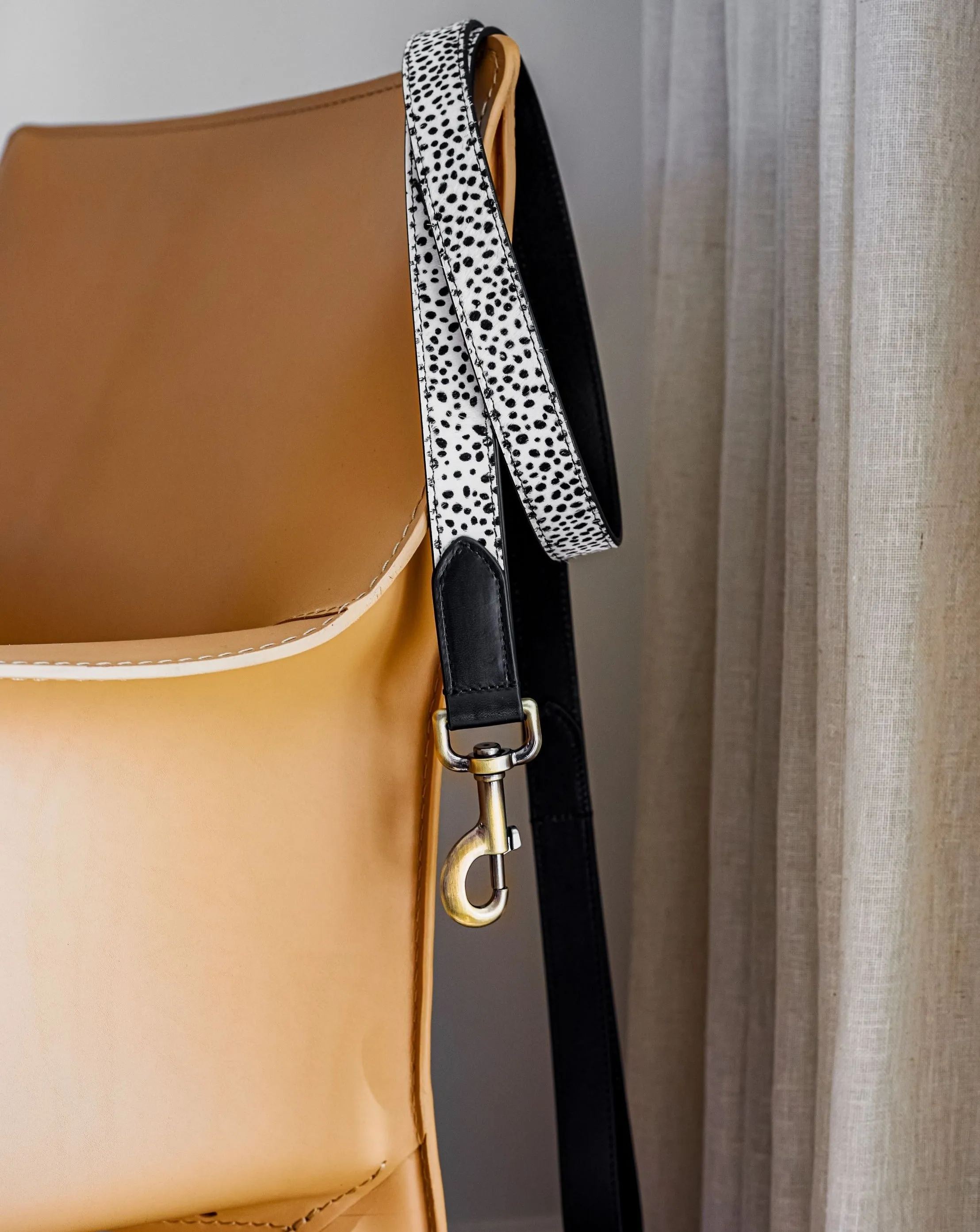 Wylde Black Spotted Walk Kit, Collar   Leash