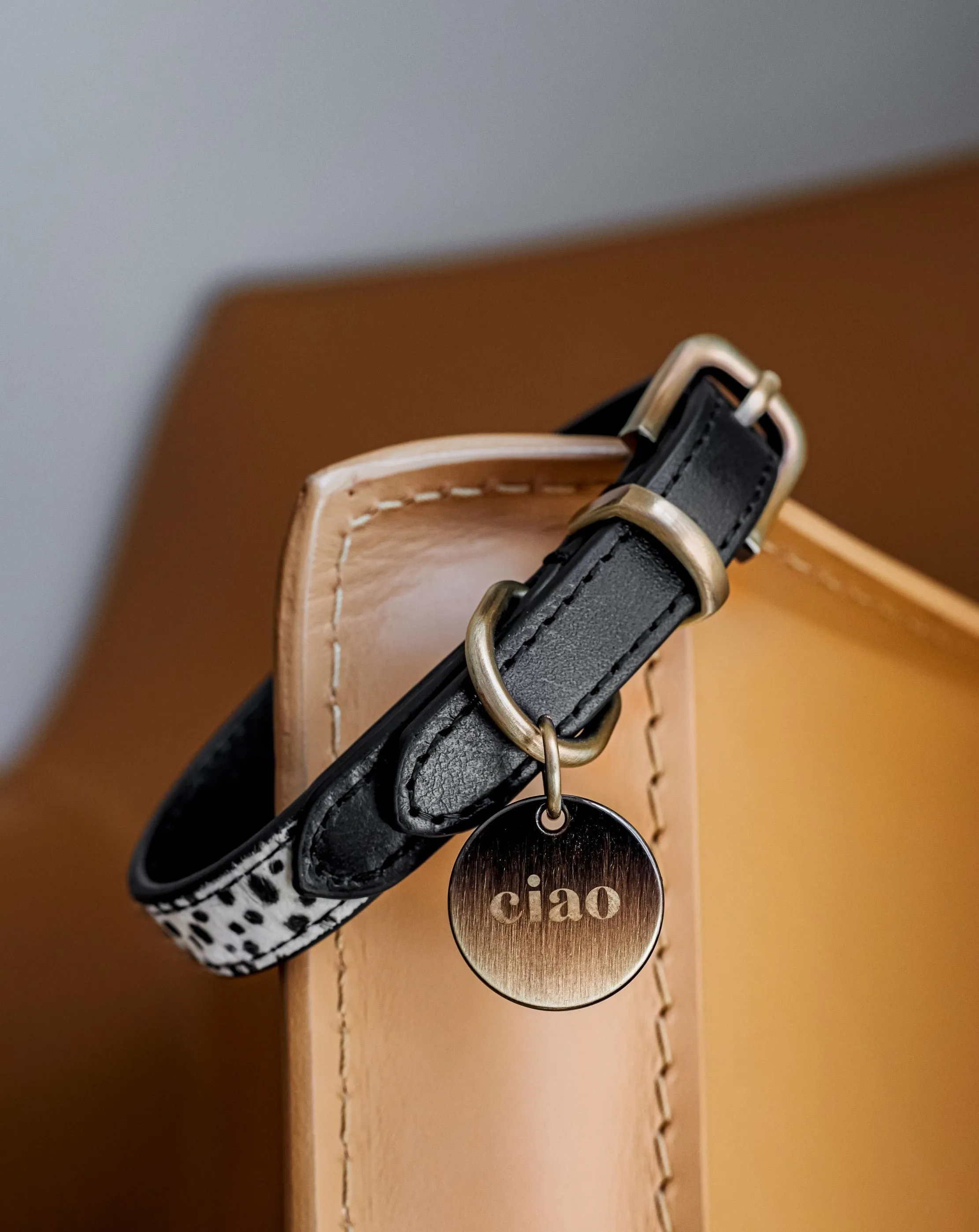 Wylde Black Spotted Walk Kit, Collar   Leash