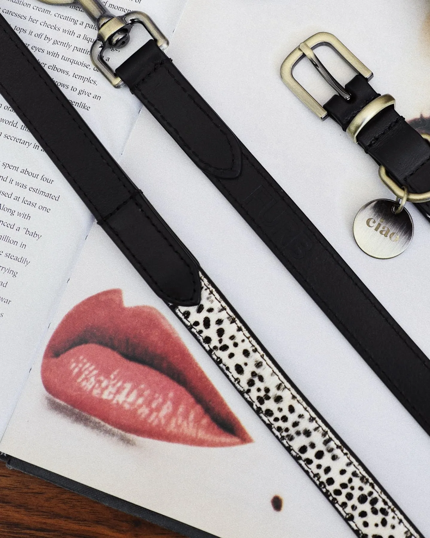 Wylde Black Spotted Walk Kit, Collar   Leash